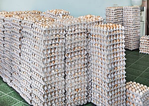 Stacked of eggs in paper trays