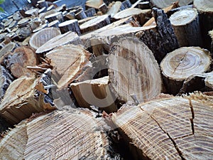 Stacked firewood