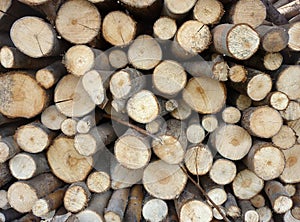 Stacked Firewood Background, lime tree wood