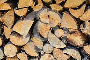 Stacked firewood for camp fires and fireplaces