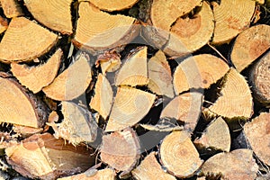 Stacked firewood for camp fires and fireplaces