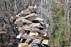 Stacked Fresh Cut Firewood