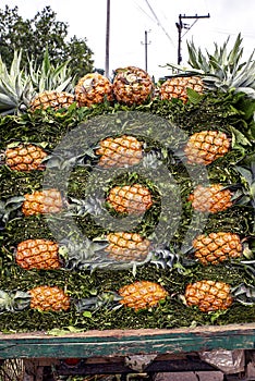 Stacked Fresh Pineapples on Display in a Vibrant Market Setting