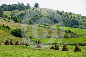 Stacked hay