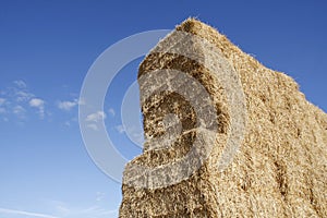 Stacked hay bales