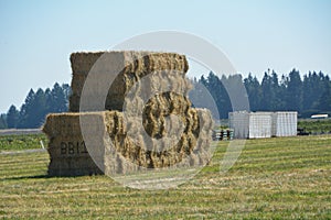 Stacked Hay Bales BBI1 in Willamette Valley, Oregon