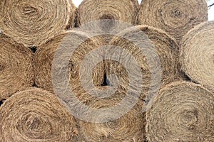 Stacked Hay Bales After the Harvest