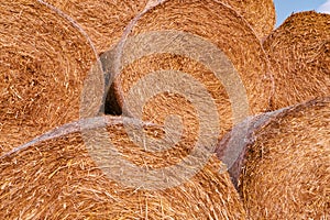 Stacked hay bales after harvest at the edge of the field with sun rays. Dry straw pressed into individual straw bales