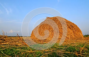 Stacked hay