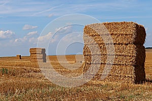 Stacked large rectangular hay bales placed on field after harvest, blue skies with some clouds in background