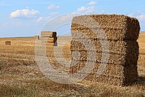 Stacked large rectangular hay bales placed on field after harvest, blue skies with some clouds in background