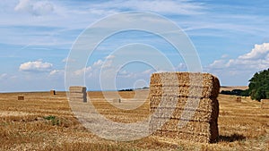 Stacked large rectangular hay bales placed on field after harvest, blue skies with some clouds in background