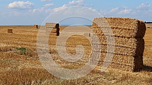 Stacked large rectangular hay bales placed on field after harvest, blue skies with some clouds in background