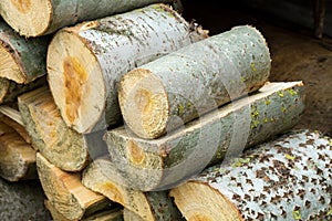 Stacked logpile