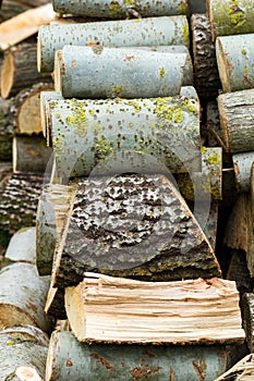 Stacked logpile