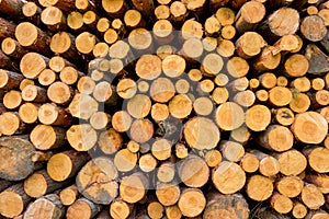 Stacked logs