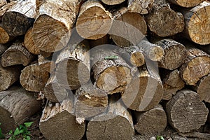 Stacked Logs