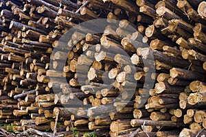 Stacked logs