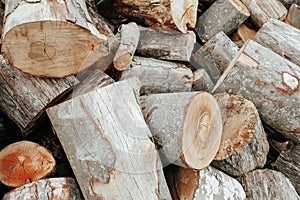 Stacked logs of firewood. Hardwood fuel, harvesting chopped wood for the winter.