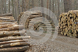 Stacked Logs