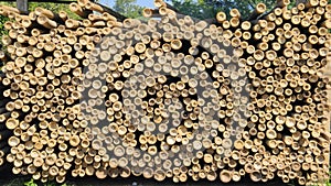 Stacked Logs Timber Woodpile Close Up Forestry Industry Material