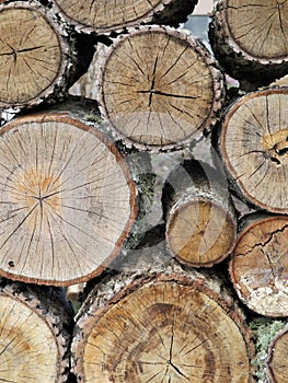Stacked logs, vertical orientation