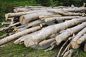 Stacked lumber laying outdoors on the grass