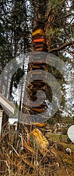 Stacked Old Wheelbarrows