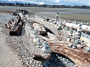 Stacked pebble stones stacked on brown wooden logs. Parksville Beach, Vancouver Island, BC, Canada photo