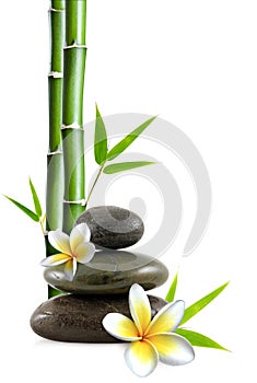 Stacked pebbles, frangipani flowers and bamboo stem and leaves