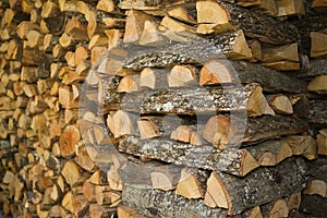 Stacked pieces of dry oak firewood