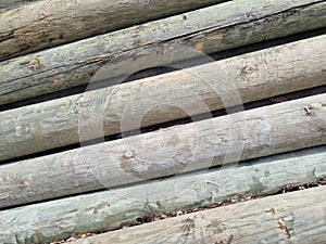 Stacked pine logs treated for mold, fungus and rot. Poles for equipment. Low quality lumber. Selective focus