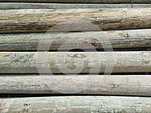 Stacked pine logs treated for mold, fungus and rot. Poles for equipment. Low quality lumber. Selective focus