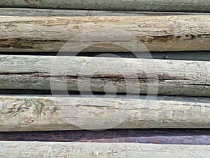 Stacked pine logs treated for mold, fungus and rot. Poles for equipment. Low quality lumber. Selective focus