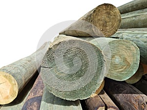 Stacked pine logs treated for mold, fungus and rot. Poles for equipment. Low quality lumber. Selective focus