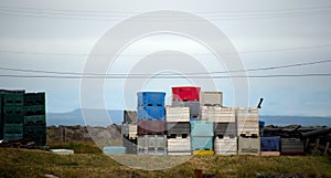 Stacked plastic boxes with tuna and ice in Westhaven port photo