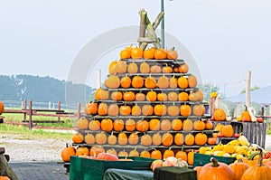 Stacked Pumpkins