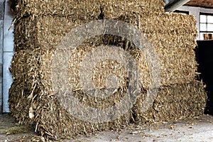 Stacked rectangular hay bales in a barn