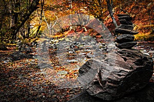 Stacked rocks on a beautiful colorful autumn forest background