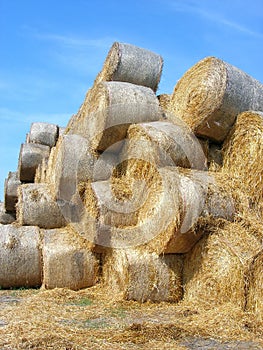 stacked rolled hay bales