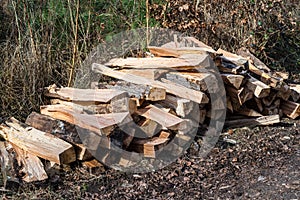Stacked and splitted wood in forest