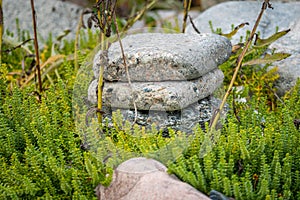 Stone Art in Northern Germany