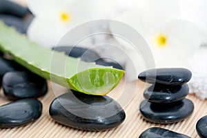 Stacked stones and aloe