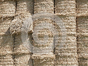 Stacked straw bales