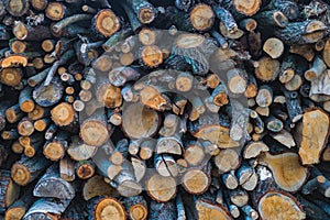 Stacked timber logs retro background