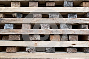 Stacked tree wood logs