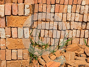 Stacked used clay brick for reuse