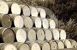 Stacked whiskey barrels photo