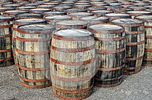 Stacked whisky casks and barrels