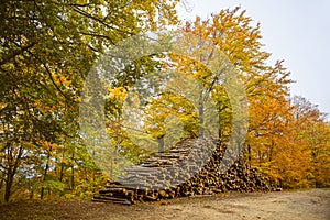 Stacked wood in an Autumn landscape with colorful trees